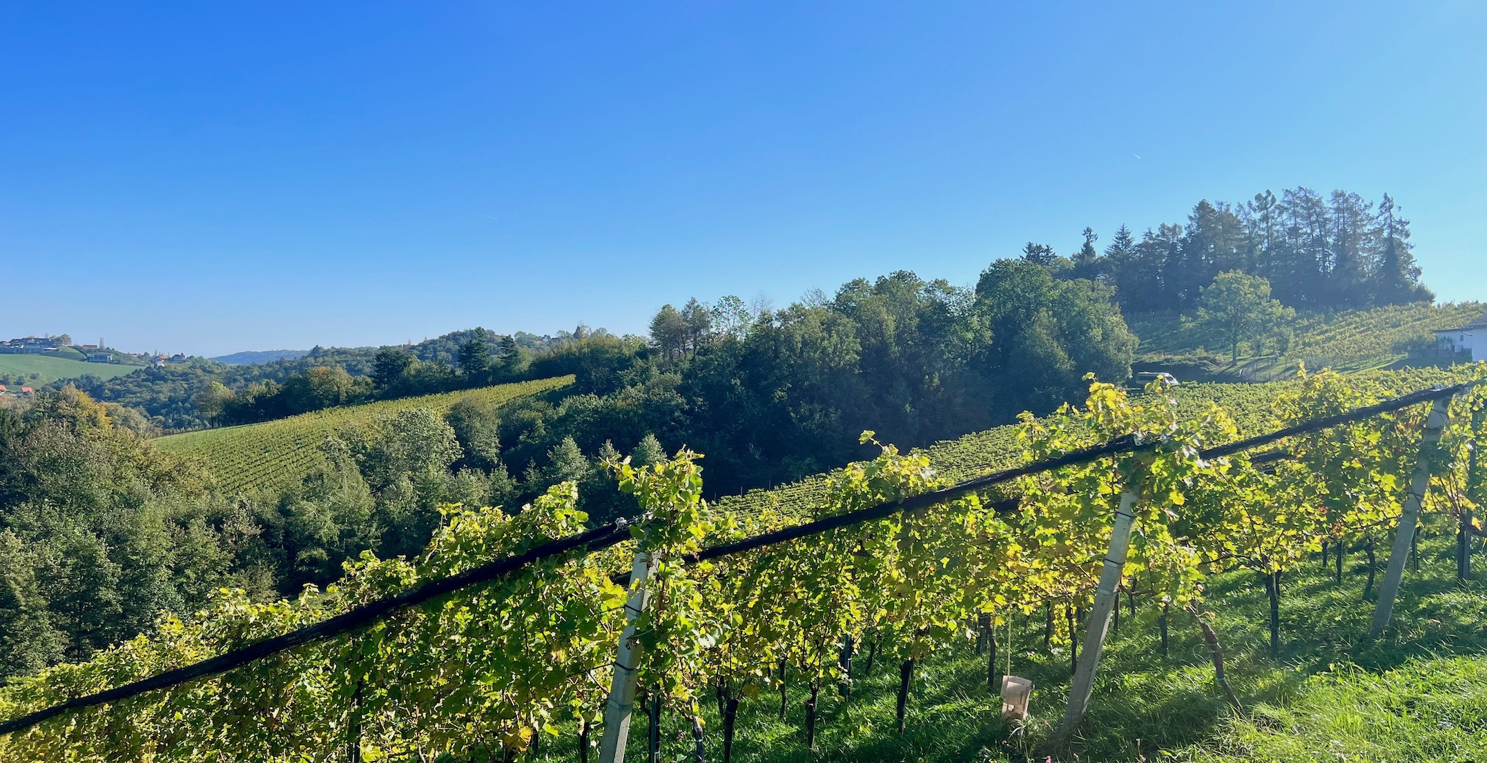 bz-immobilien